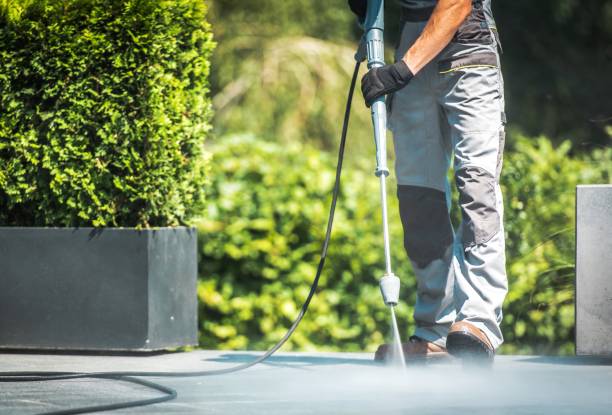Best Soft Washing  in Del Rey Oaks, CA